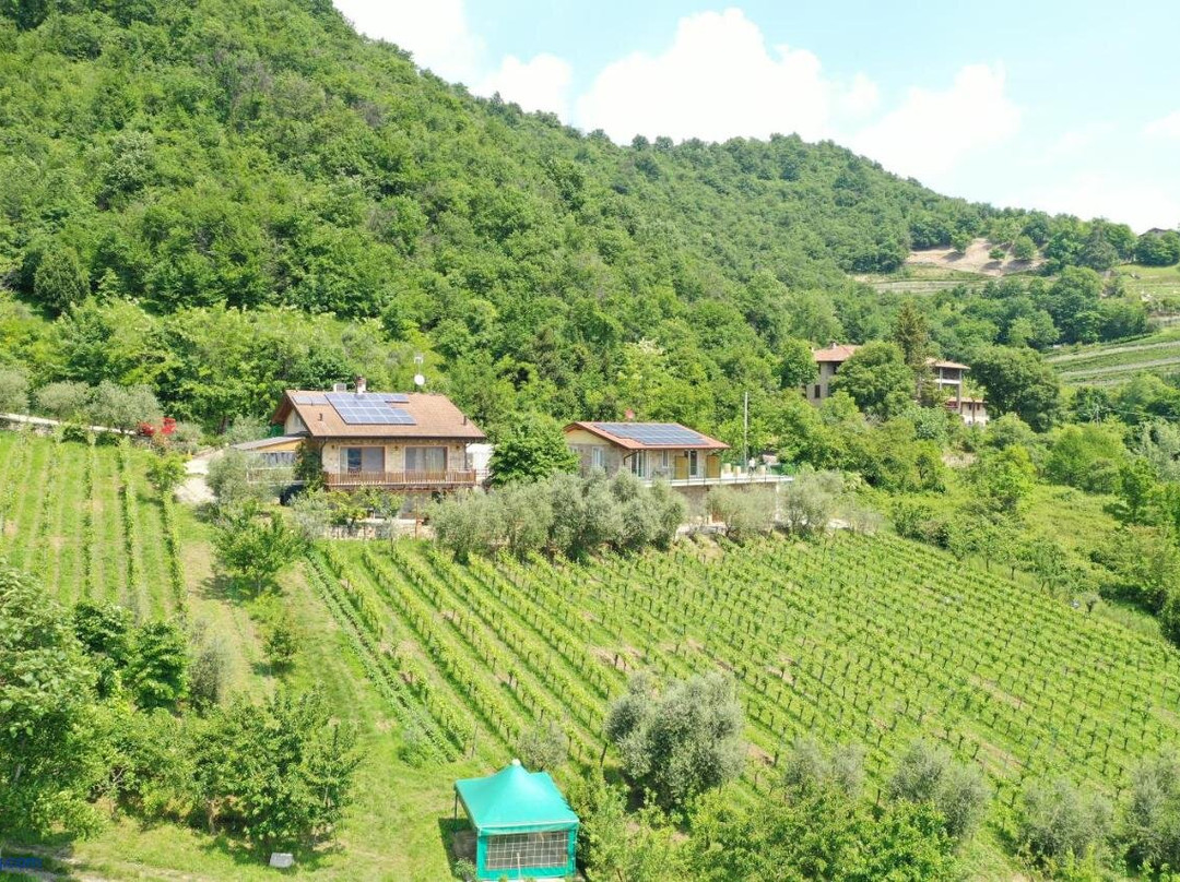 Agriturismo Ca Del Manenti