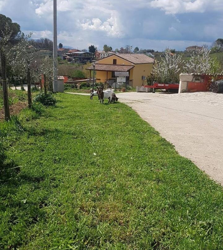 Agriturismo San Tommaso