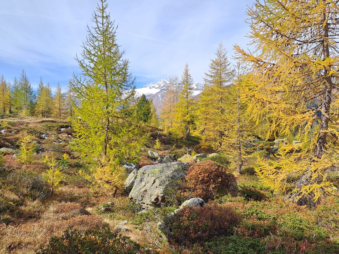 Lago Di Saoseo-Poschiavo必去景点