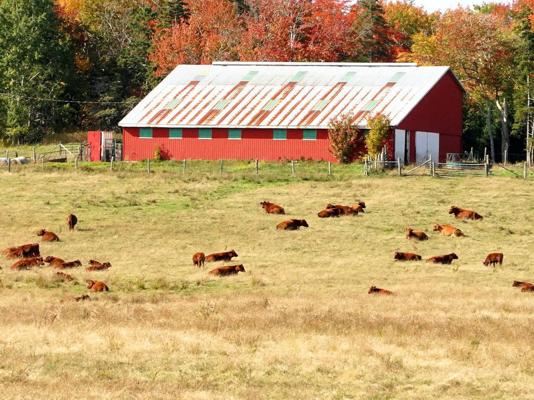 Duncreigan Country Inn主图