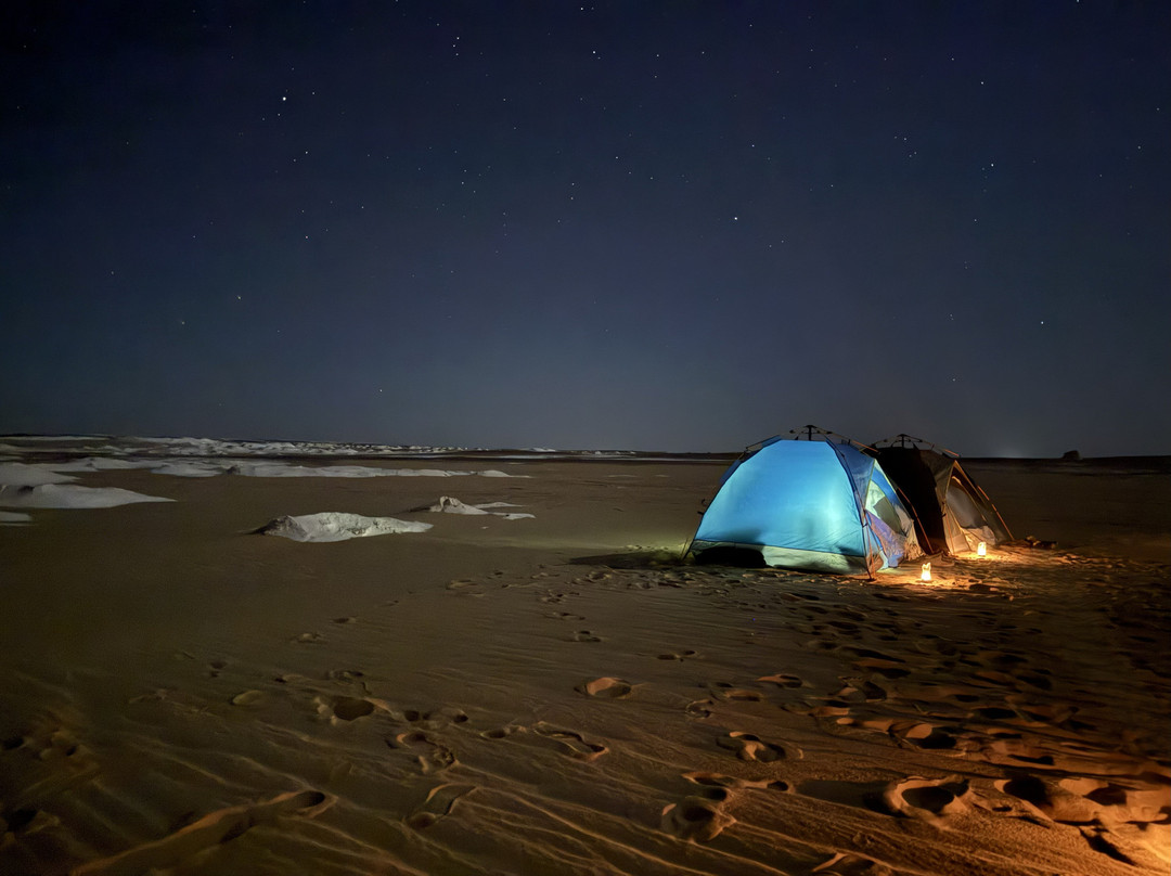 Bahariya Oasis Guide-Bawiti必去景点