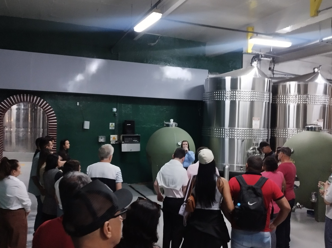 Aurora Winery-本图贡萨尔维斯必去景点