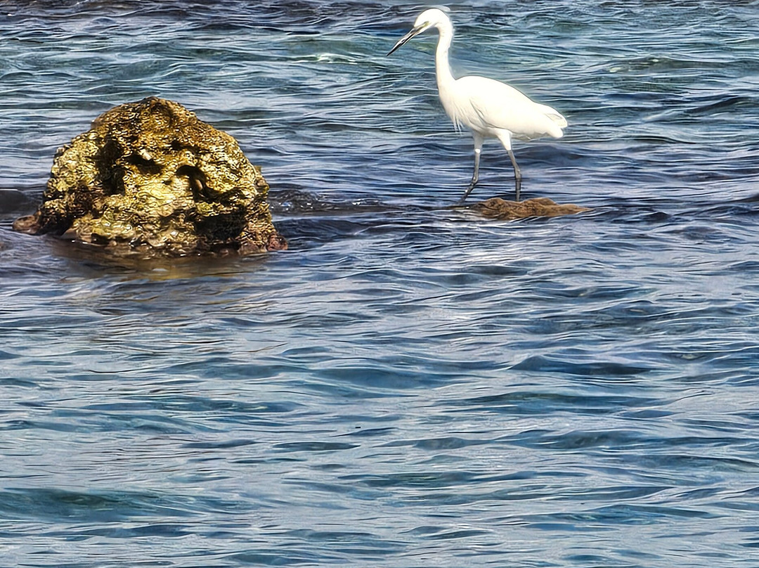 Stena beach-马塔拉必去景点