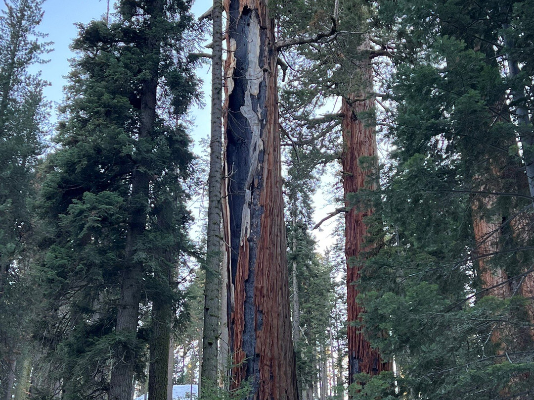 Sequoia Parks Conservancy-Three Rivers必去景点