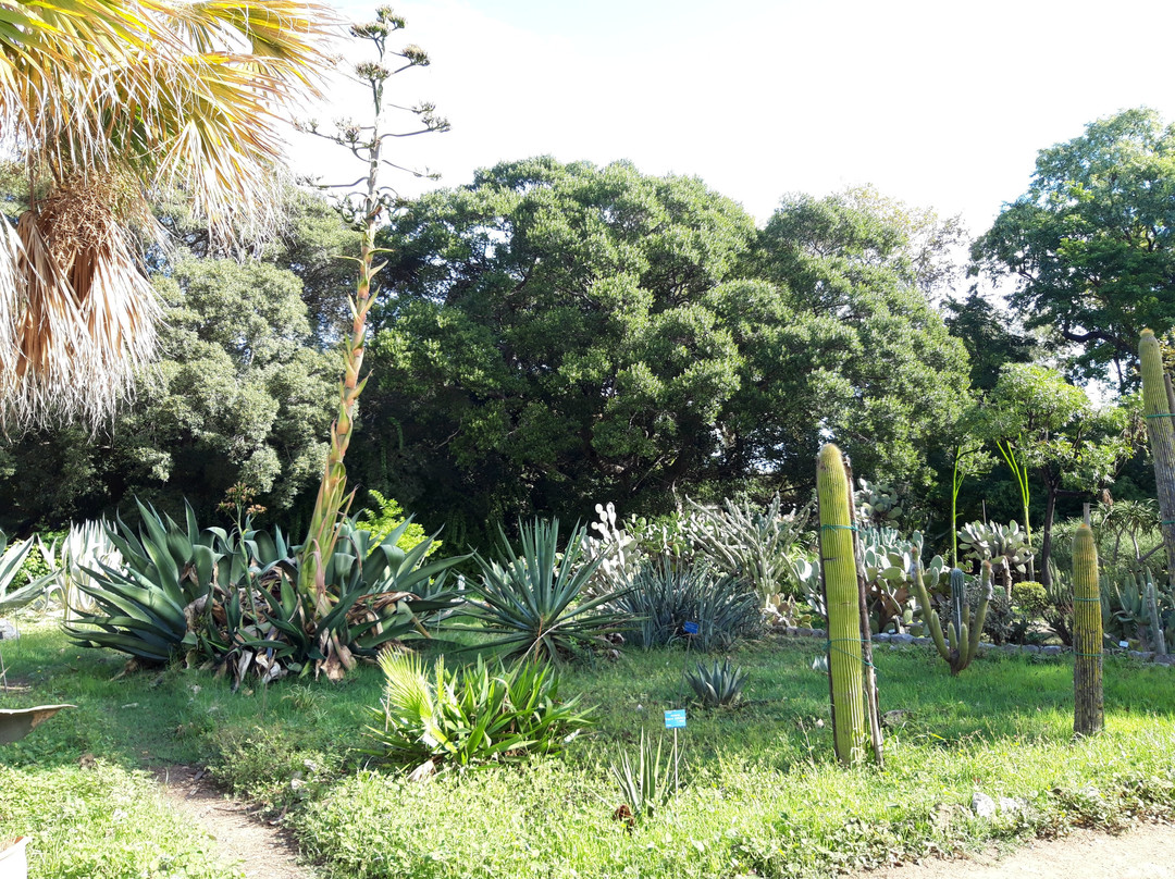 Orto Botanico di Palermo-巴勒莫必去景点