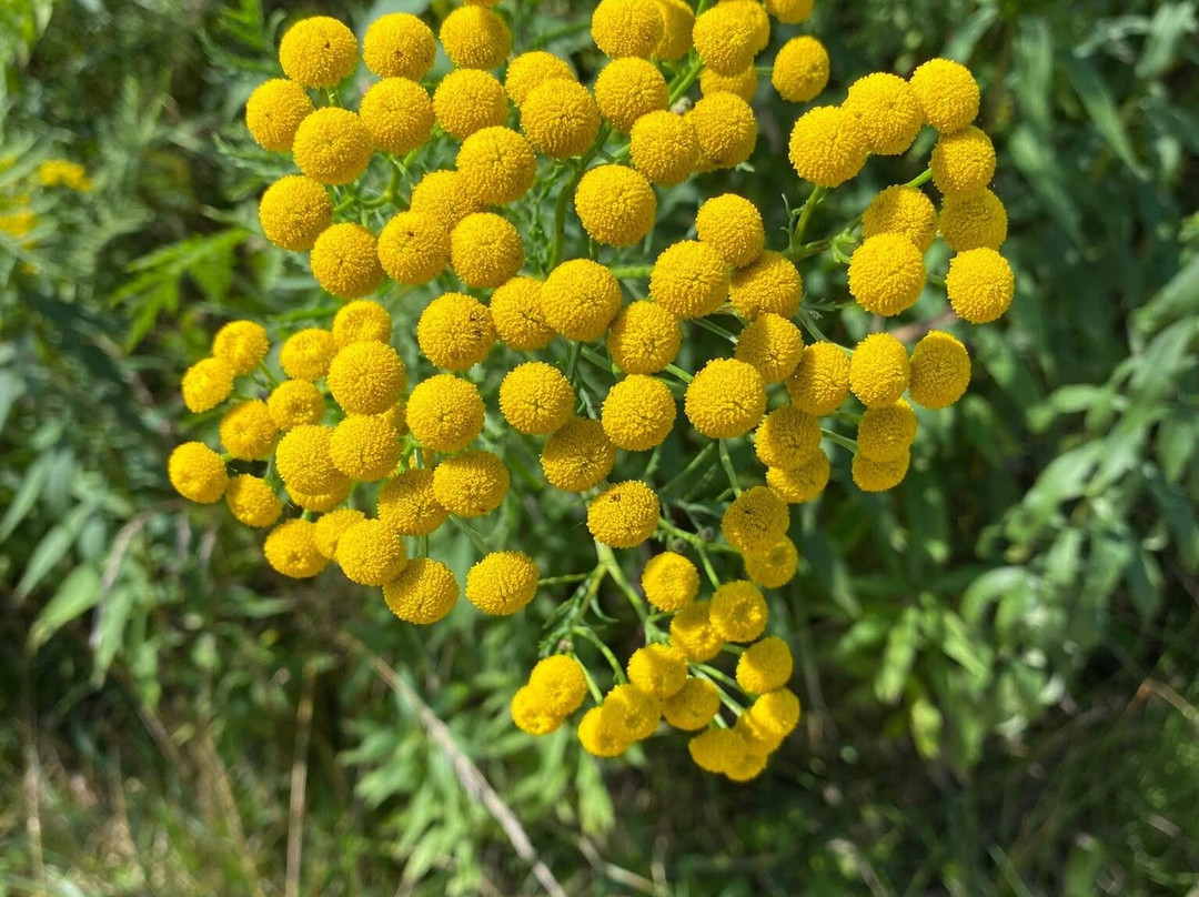 Fischer Creek State Recreation Area-Cleveland必去景点