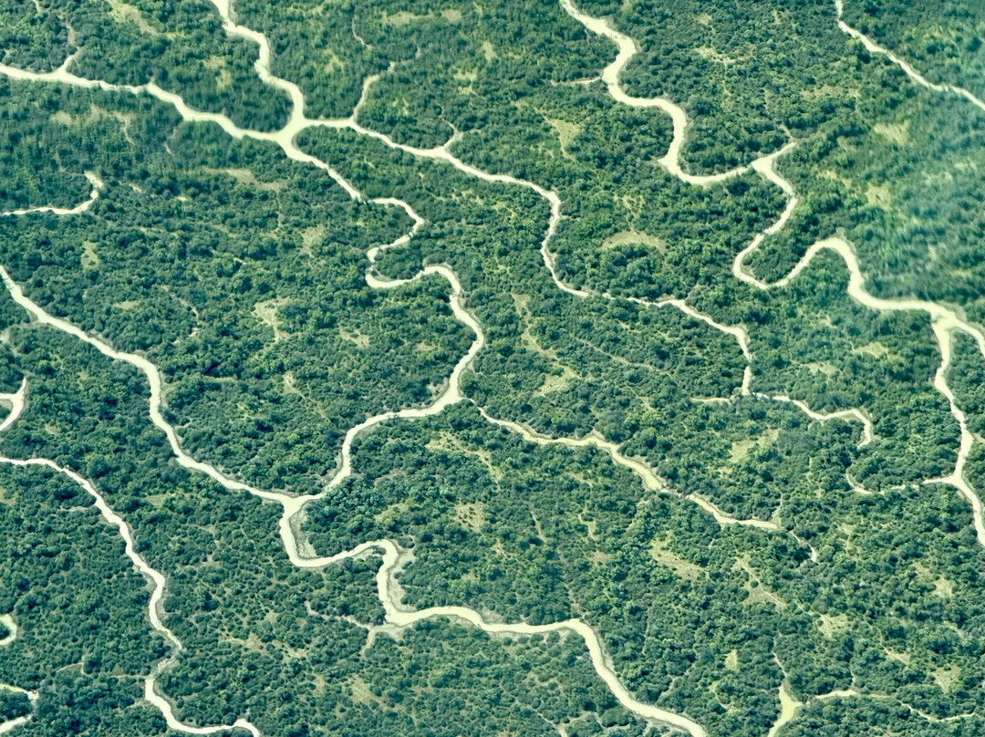 Arid Air-Marree必去景点