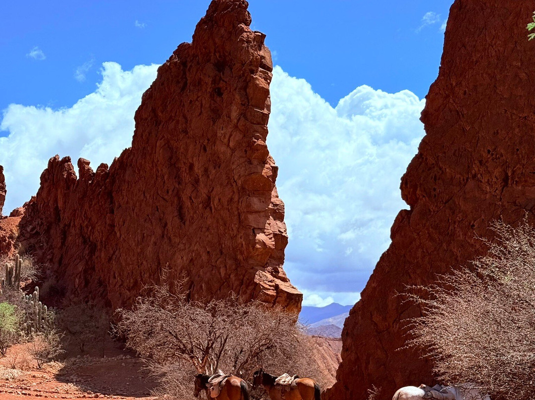 Green Planet Etno Eco Travel-Tupiza必去景点