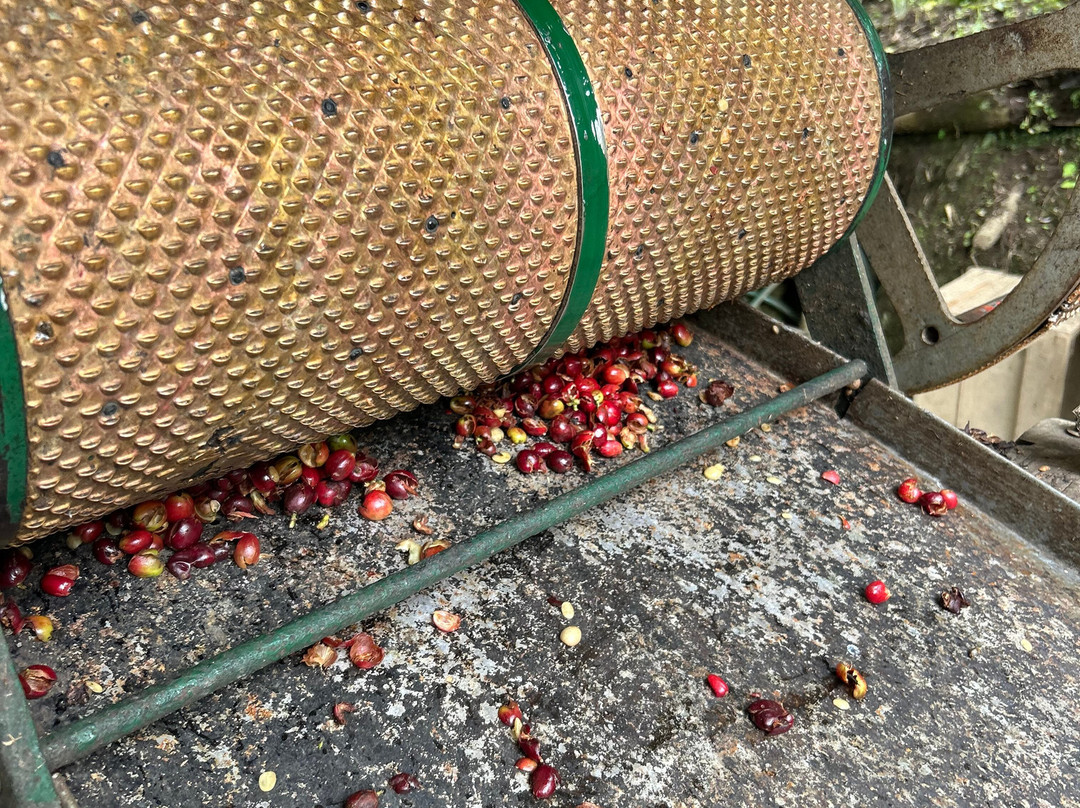 Coffee Tour Luger-萨伦托必去景点