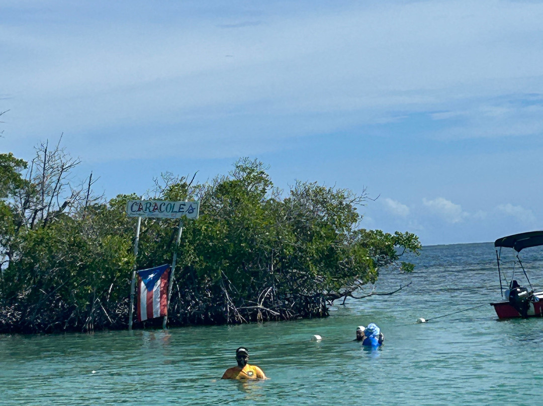 Parguera Water Sports-La Parguera必去景点
