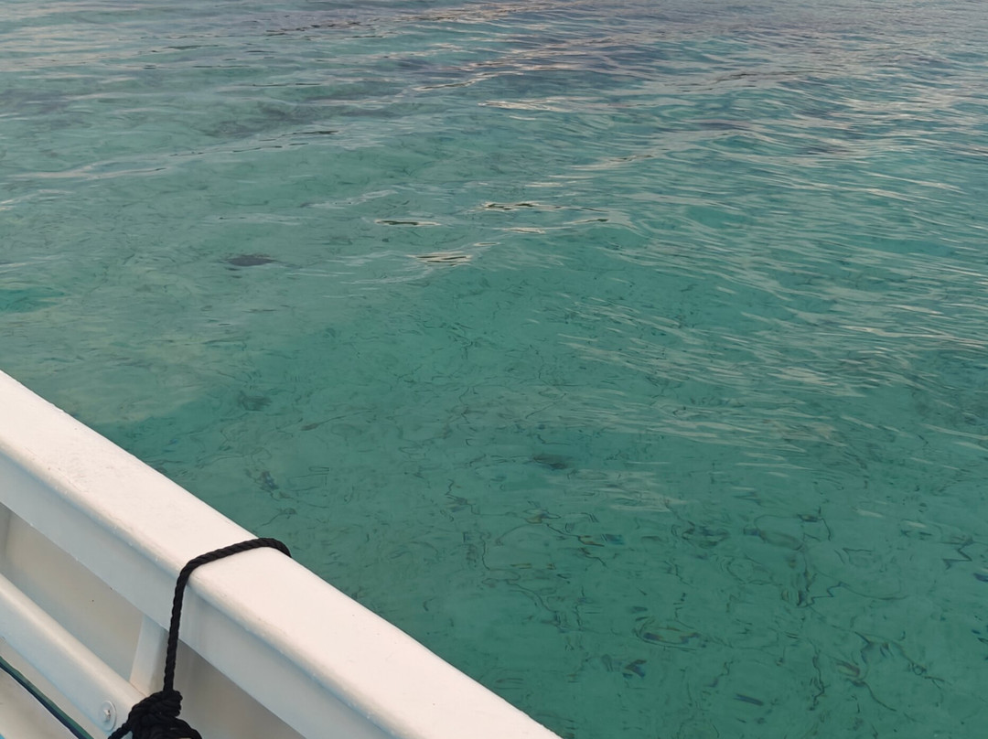 Promenades Du Golfe-维琪奥港必去景点