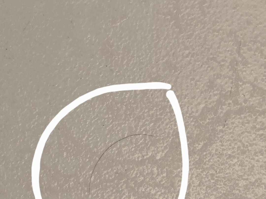 Hotel La Residence主图