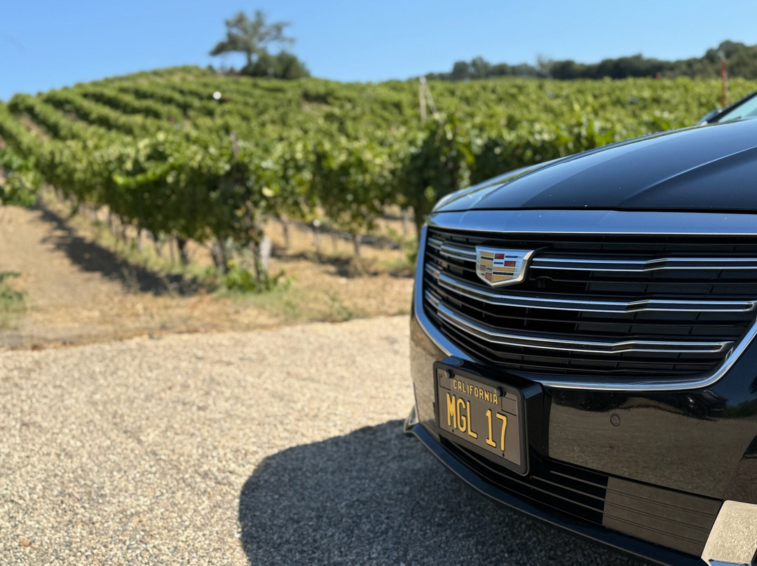 MGL Limo - Executive Black Car-旧金山必去景点