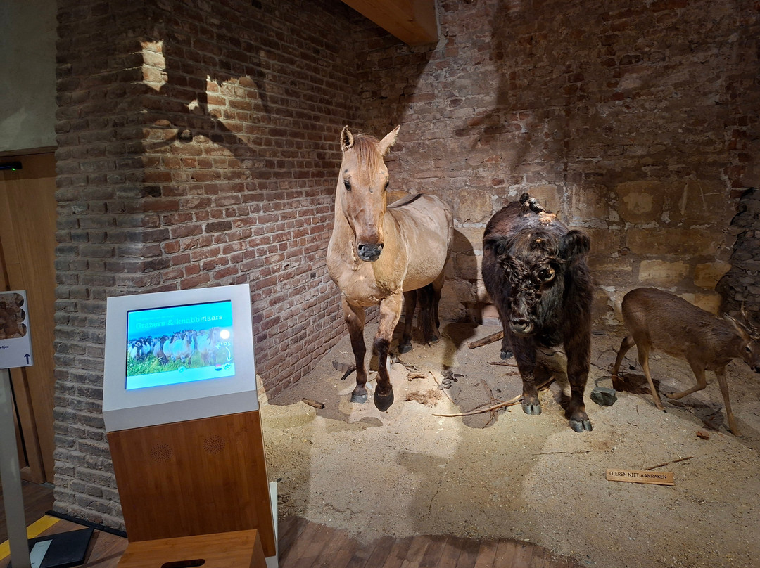 Museum De Bastei-奈梅亨必去景点