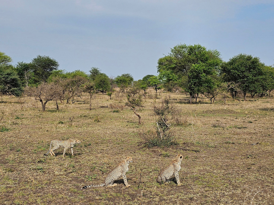 White Snow Travel-坦噶必去景点