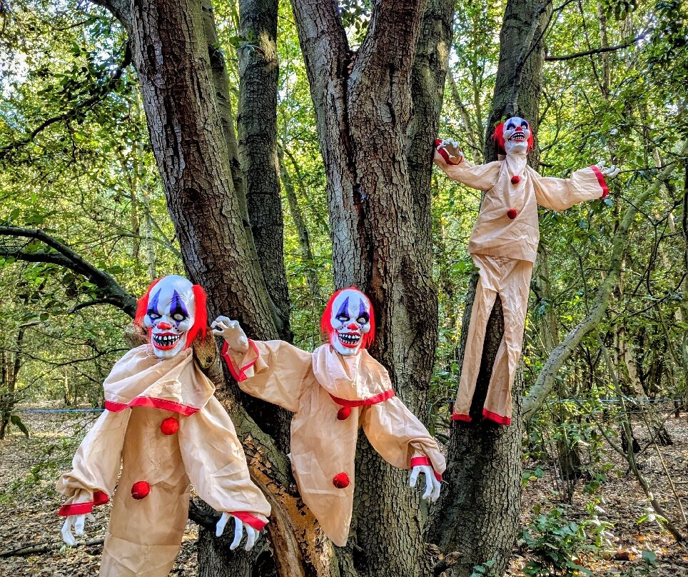 Betteshanger Park-迪奥必去景点