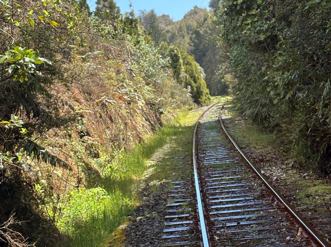 Rotorua Rail Cruising-罗托鲁瓦必去景点