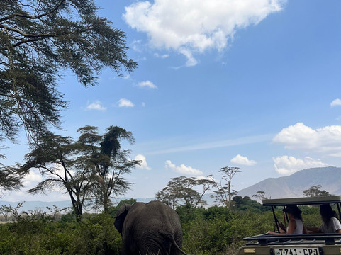 Maisha Adventures-阿鲁沙必去景点