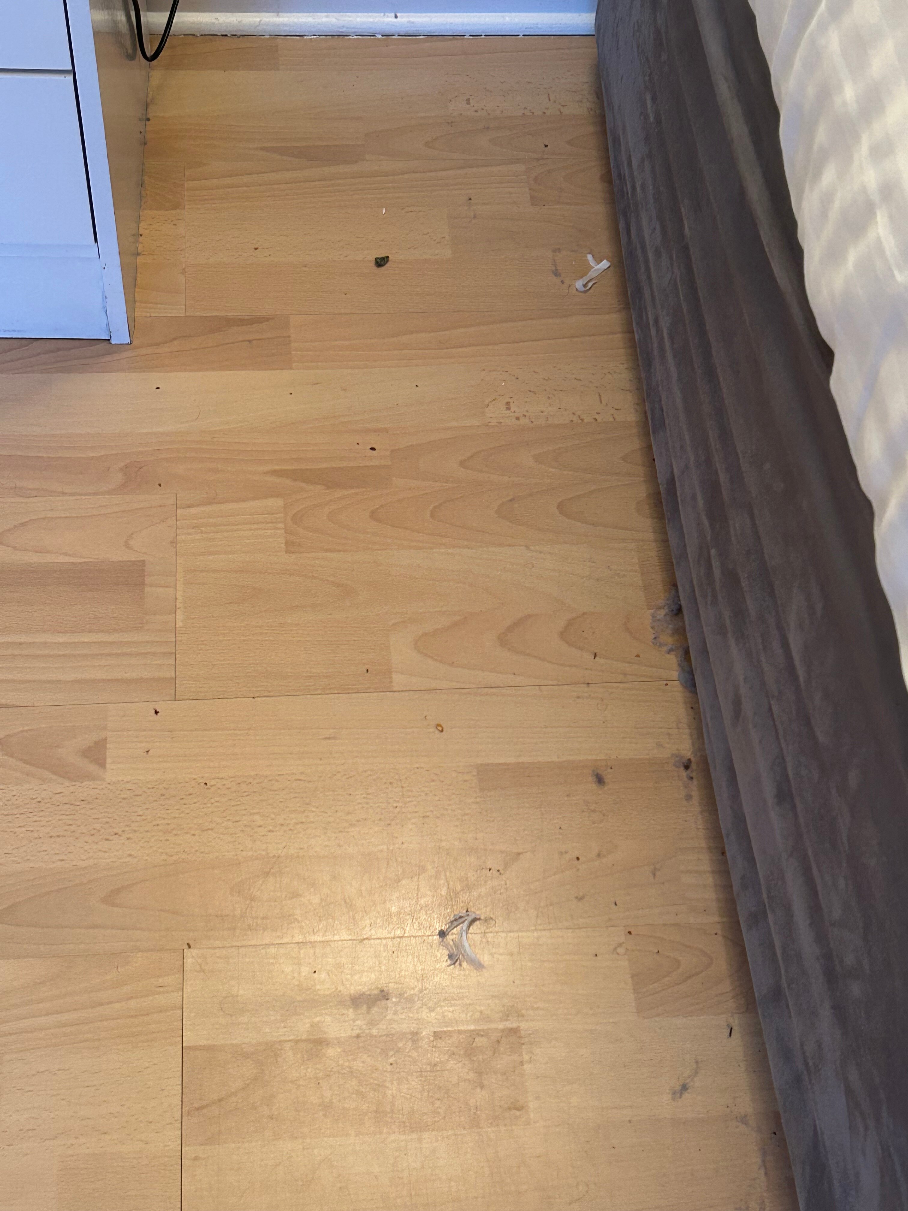 Aldercarr Hall-官方