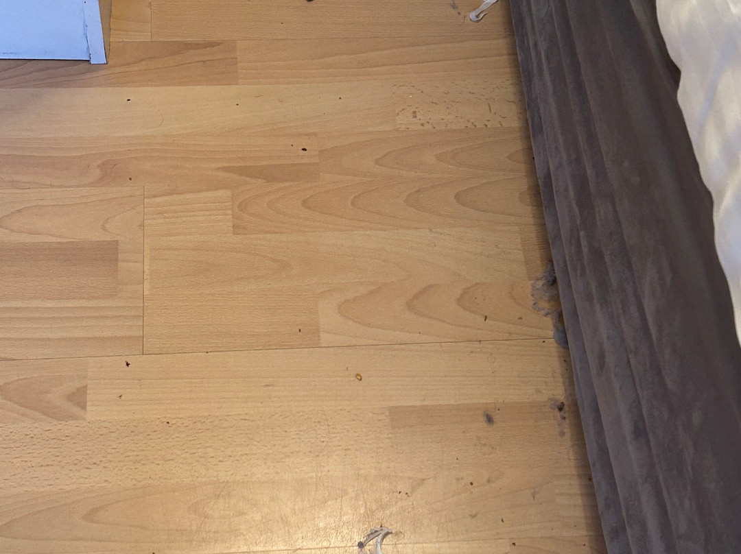 Aldercarr Hall主图