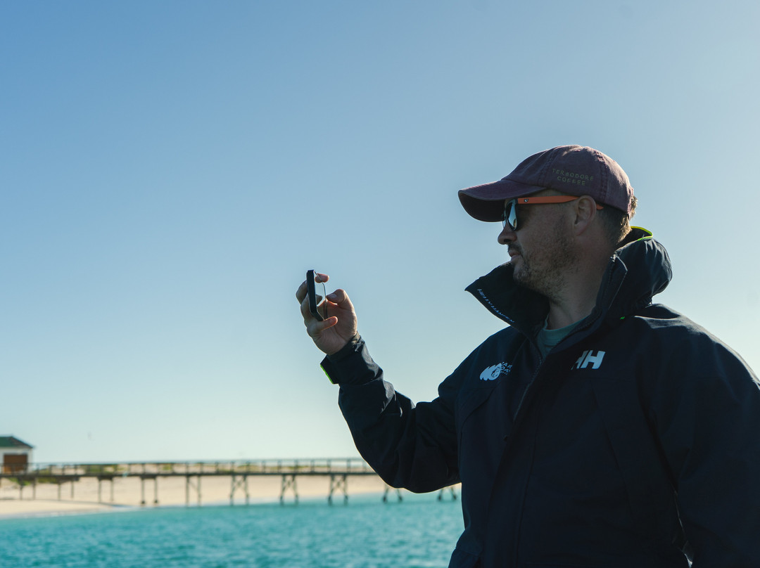 Cape Coast Expeditions-Yzerfontein必去景点