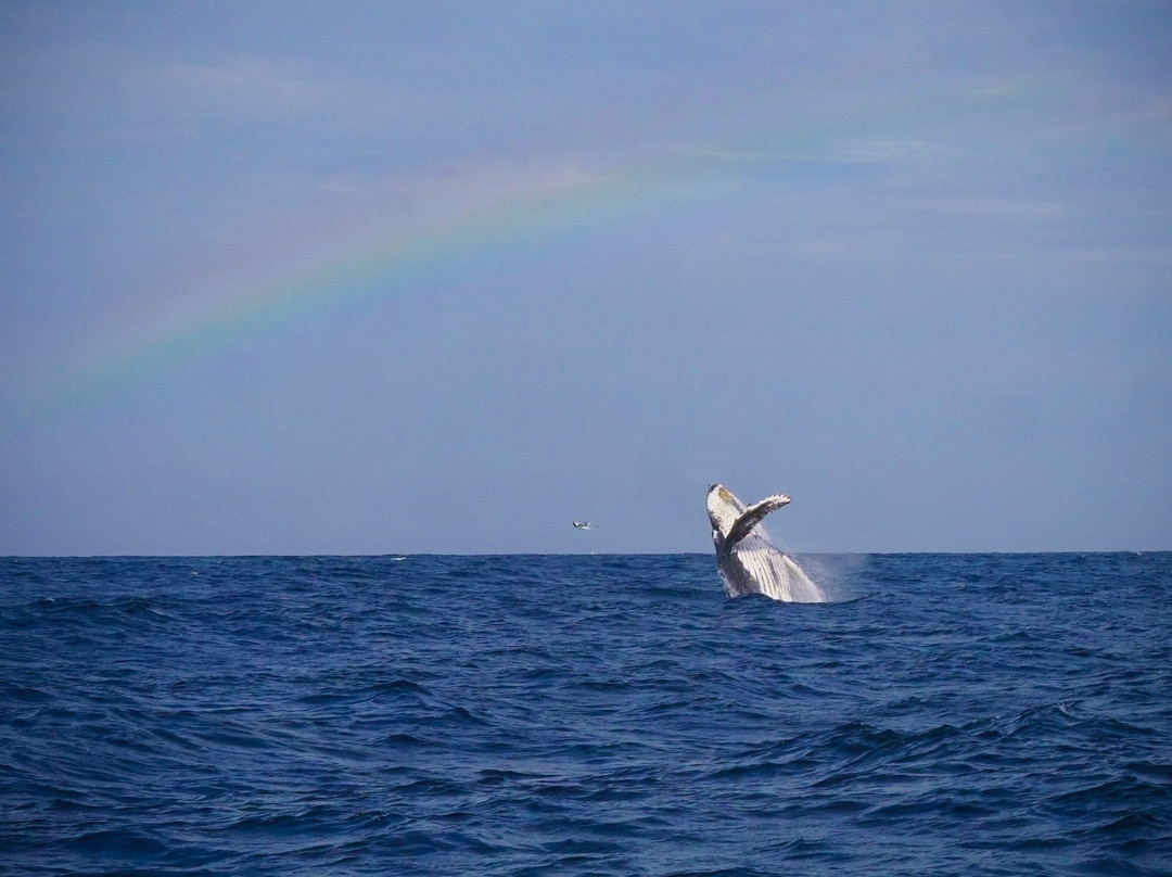PacIfico Adventures-Organos必去景点