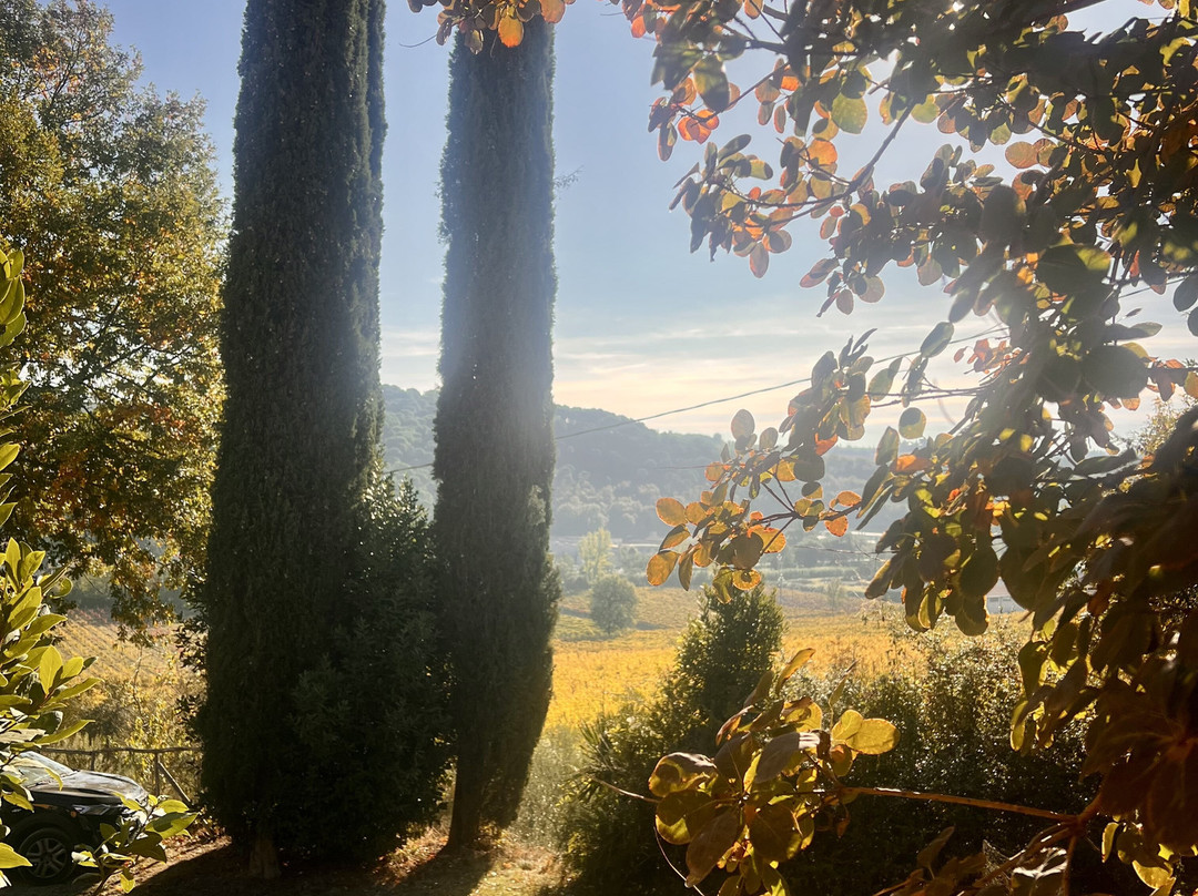 Podere Dell'Anselmo主图