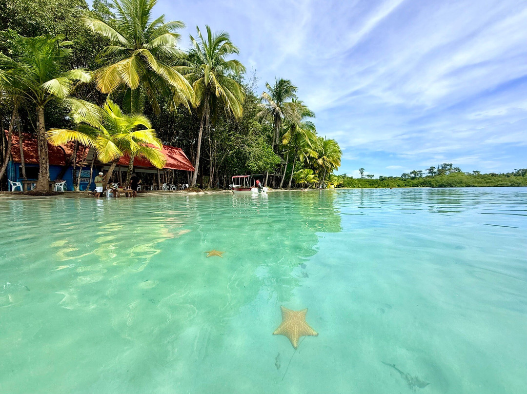 Starfish Beach-博卡斯镇必去景点