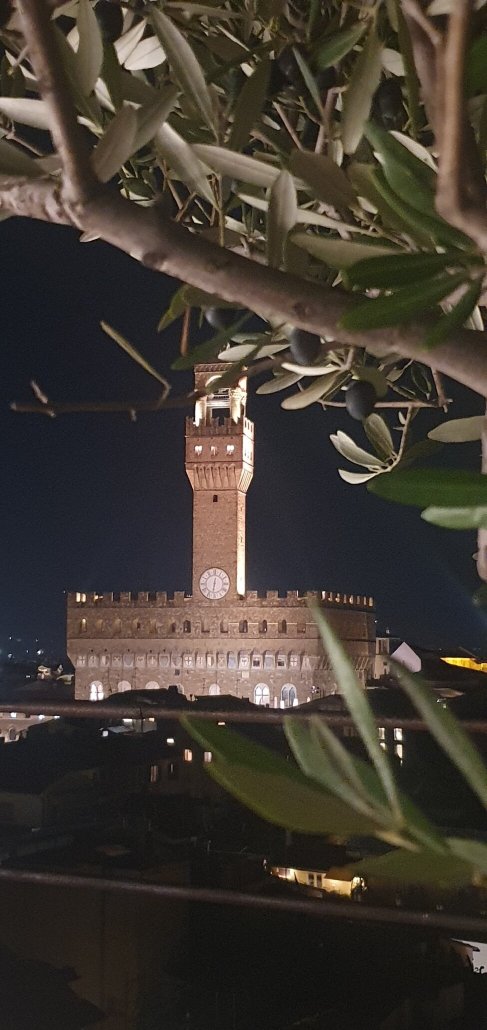 托瑞古尔法酒店-官方