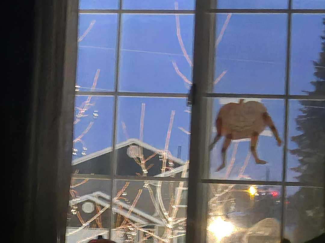 先驱者公园贝斯特韦斯特优质酒店主图