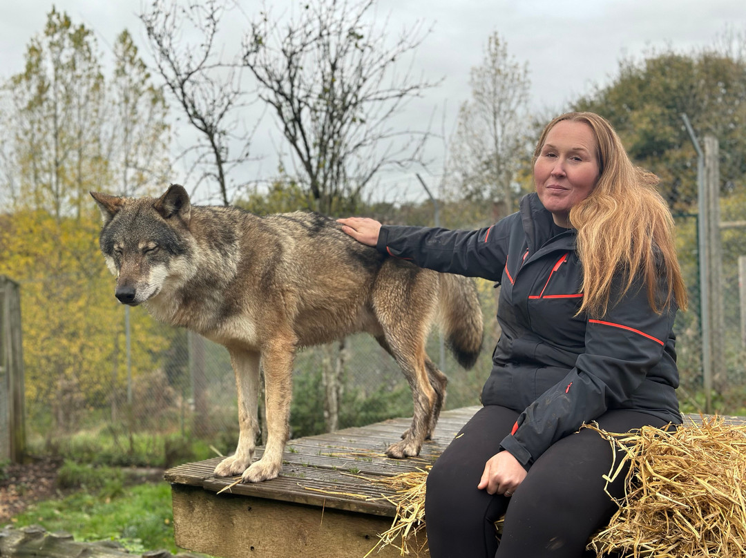 Wolves Of Wiltshire-埃文河畔布德拉夫必去景点