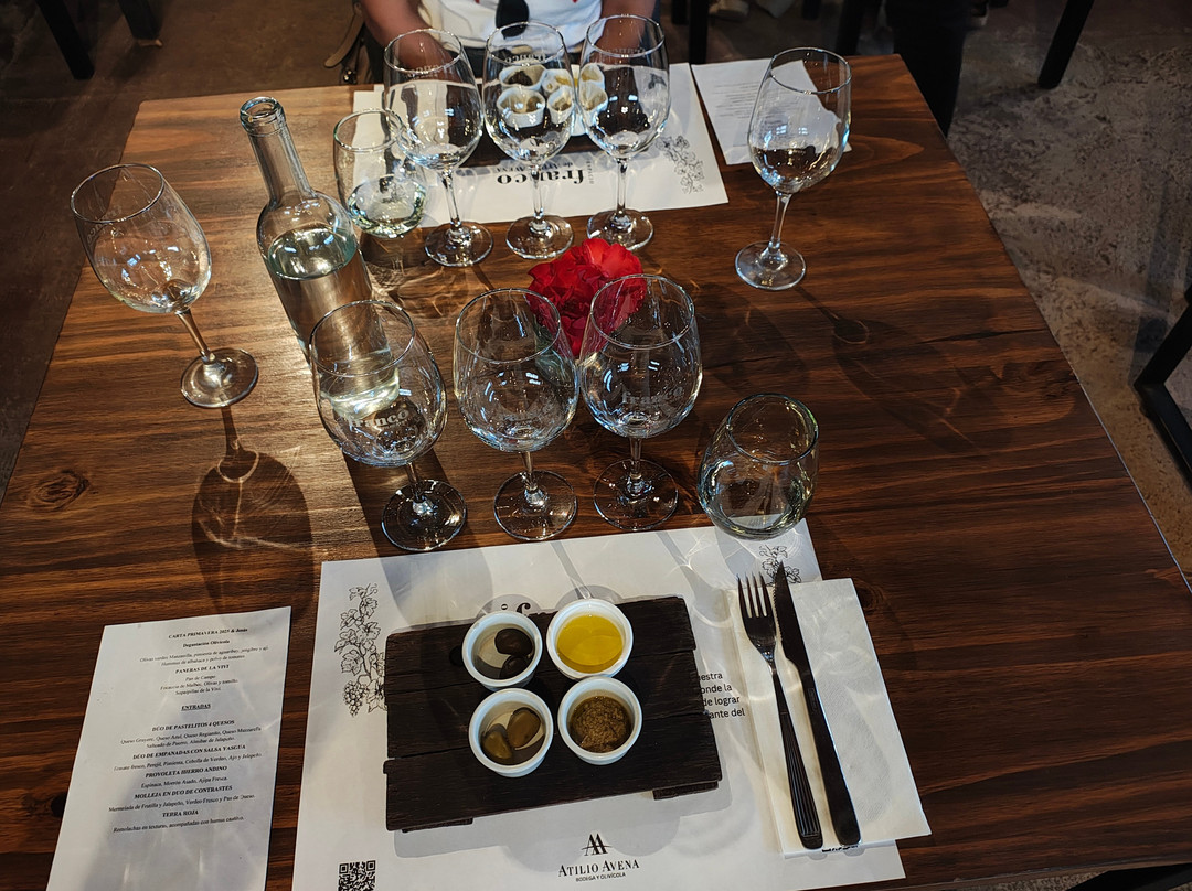 Bodega Atilio Avena-门多萨必去景点