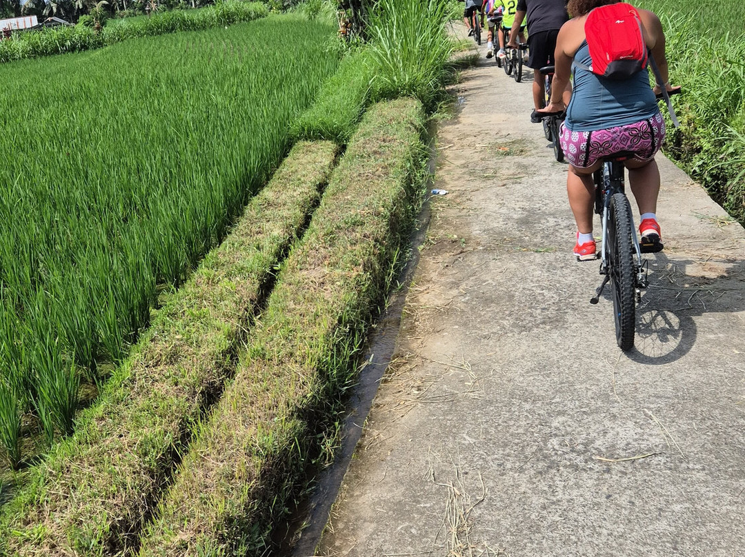 Bali Lovely Trip-登巴萨必去景点