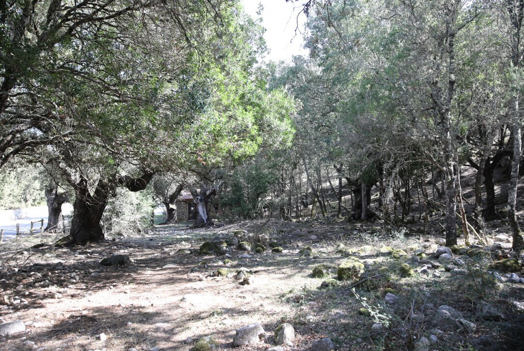 Le village des tortues-Moltifao必去景点