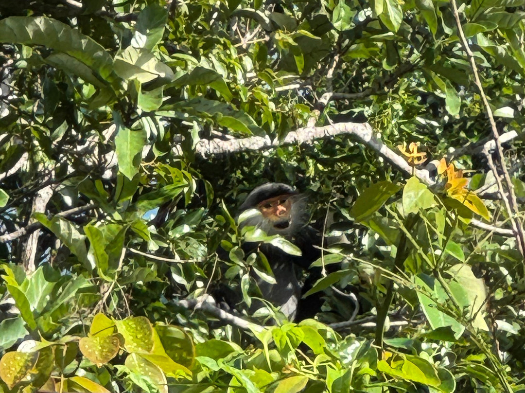 Vietnam Eco-Tours-岘港必去景点