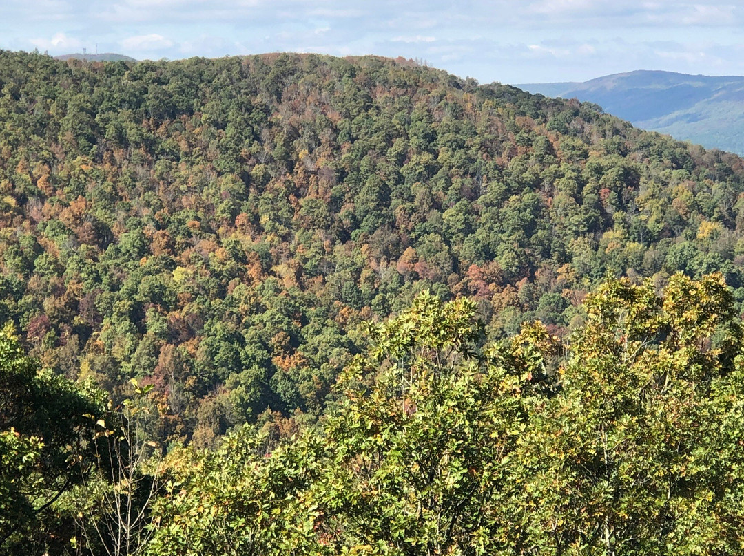 Talimena National Scenic Byway-Talihina必去景点