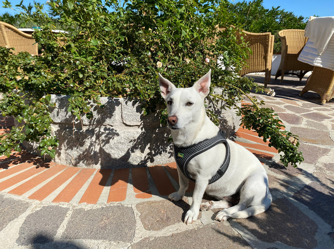 Hotel Gallo Nero主图