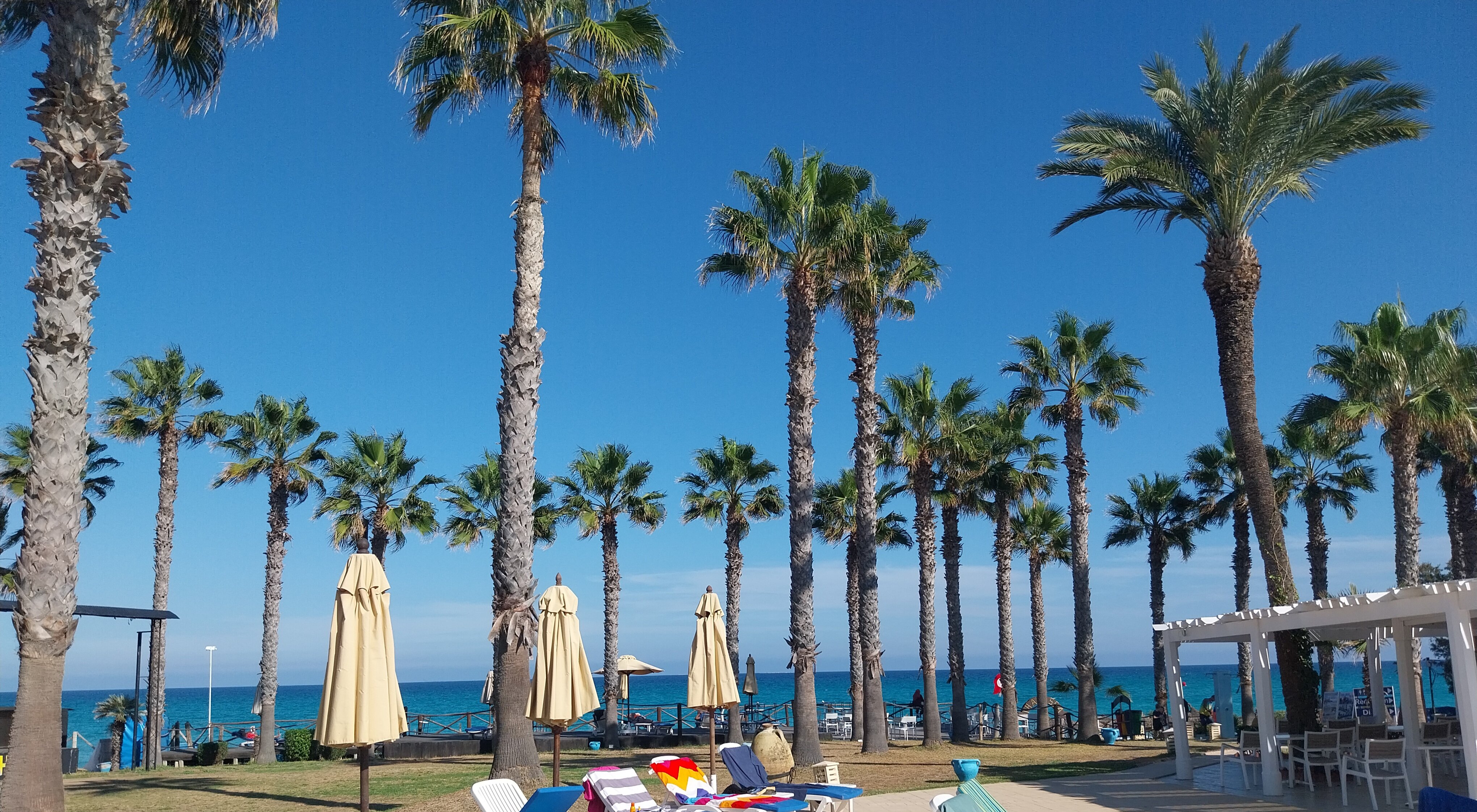 Thalassa Mahdia-泳池