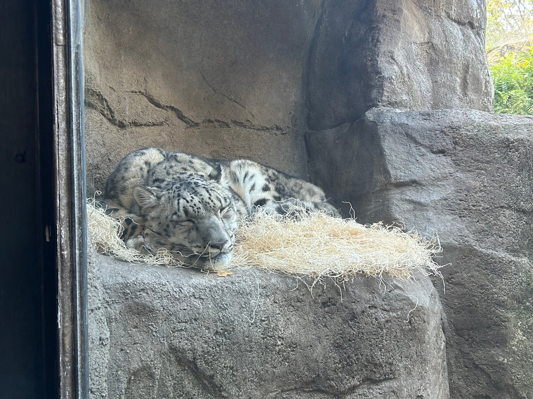 Brookfield Zoo-Brookfield必去景点