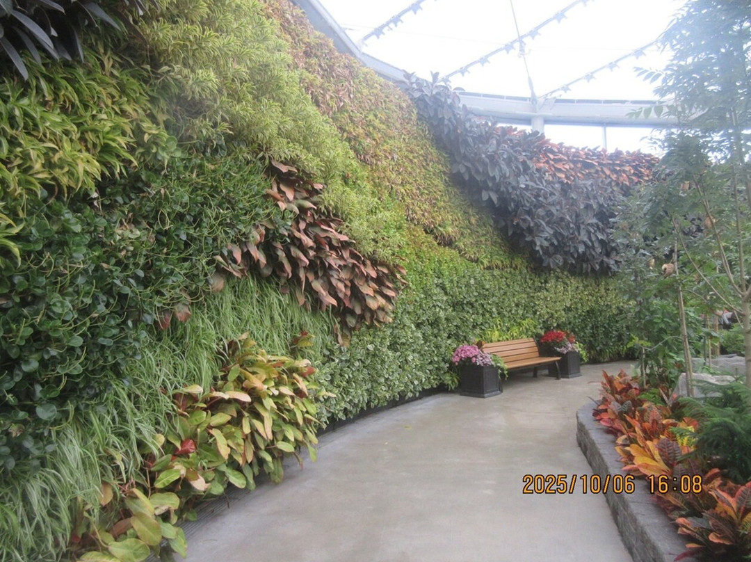 The Leaf-温尼伯必去景点