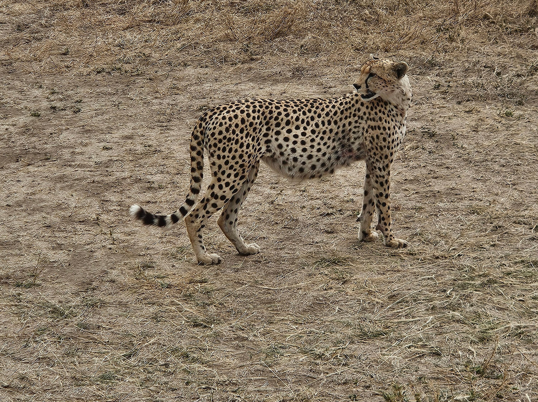 FB Tanzania Expeditions-阿鲁沙必去景点