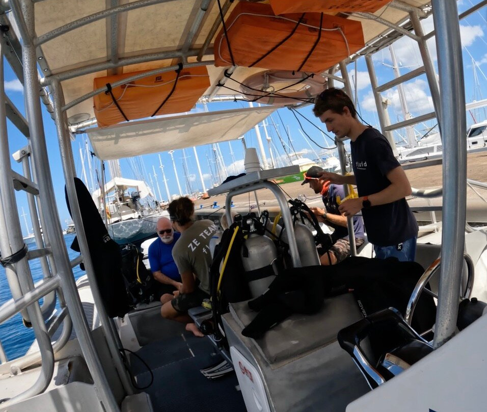 Fluid Tahiti Dive Center-普纳奥亚必去景点