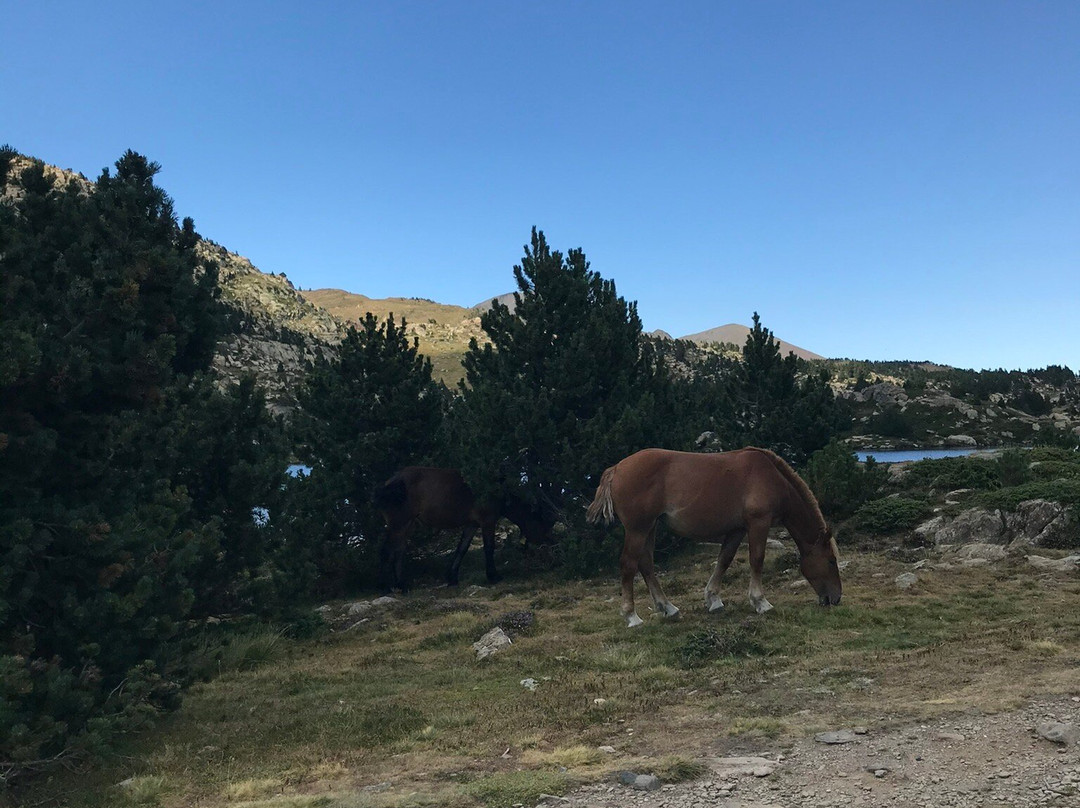 Lac des Bouillouses-东比利牛斯省必去景点