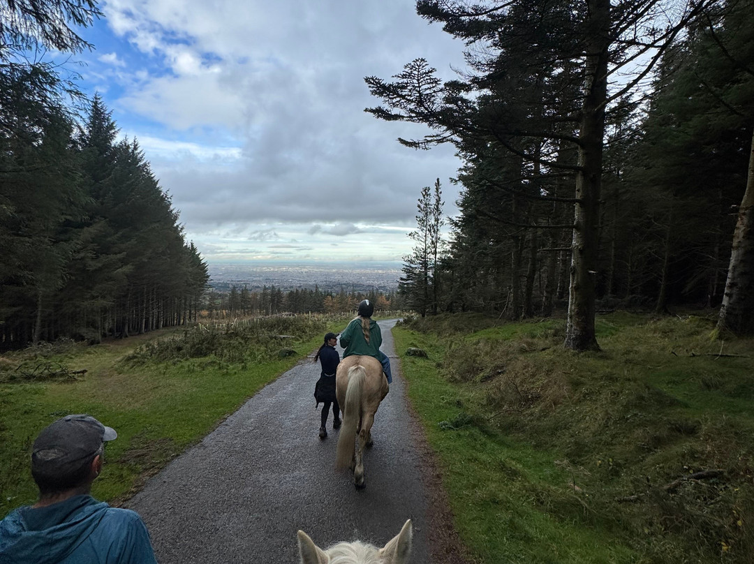 The Paddocks Riding Centre-都柏林必去景点
