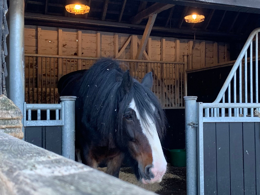 Wimpole Estate-Arrington必去景点