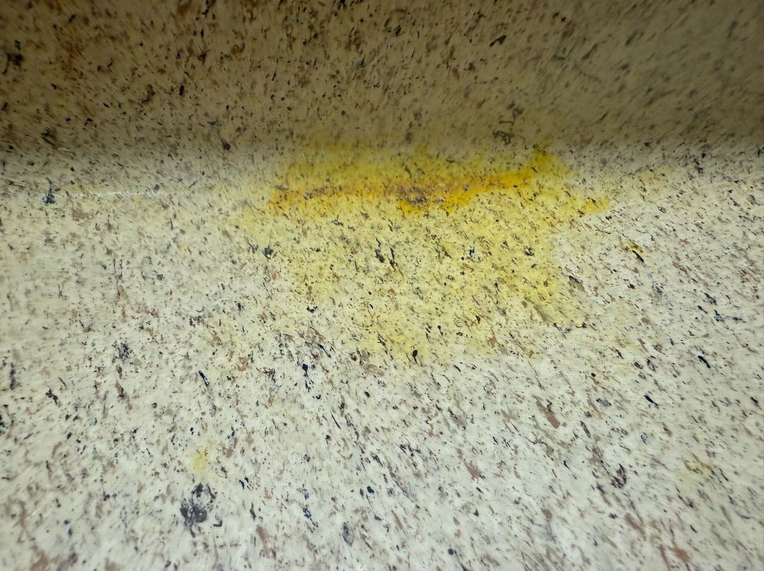 Extended Stay America - Fort Lauderdale - Davie主图