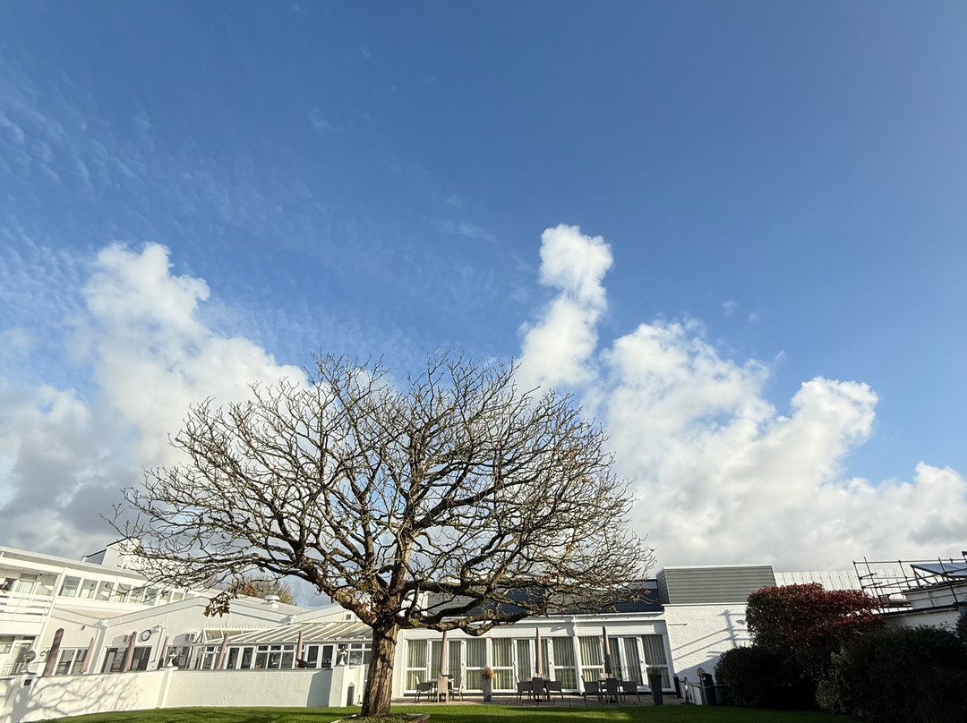 布兰德巴恩斯特珀尔酒店主图