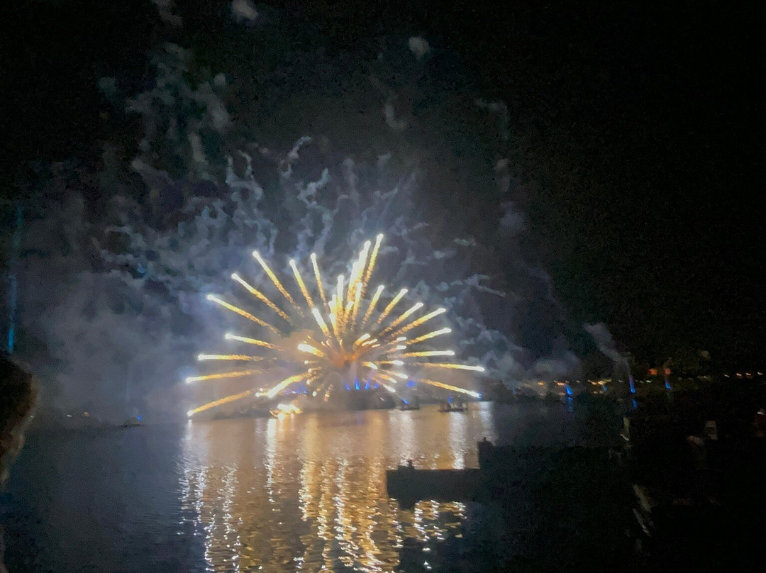 Luminous: The Symphony of Us-Bay Lake必去景点