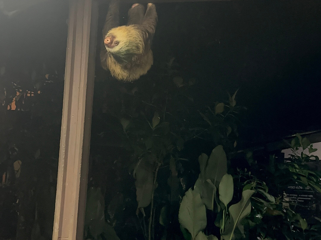 Chilamate Rainforest Eco Retreat主图