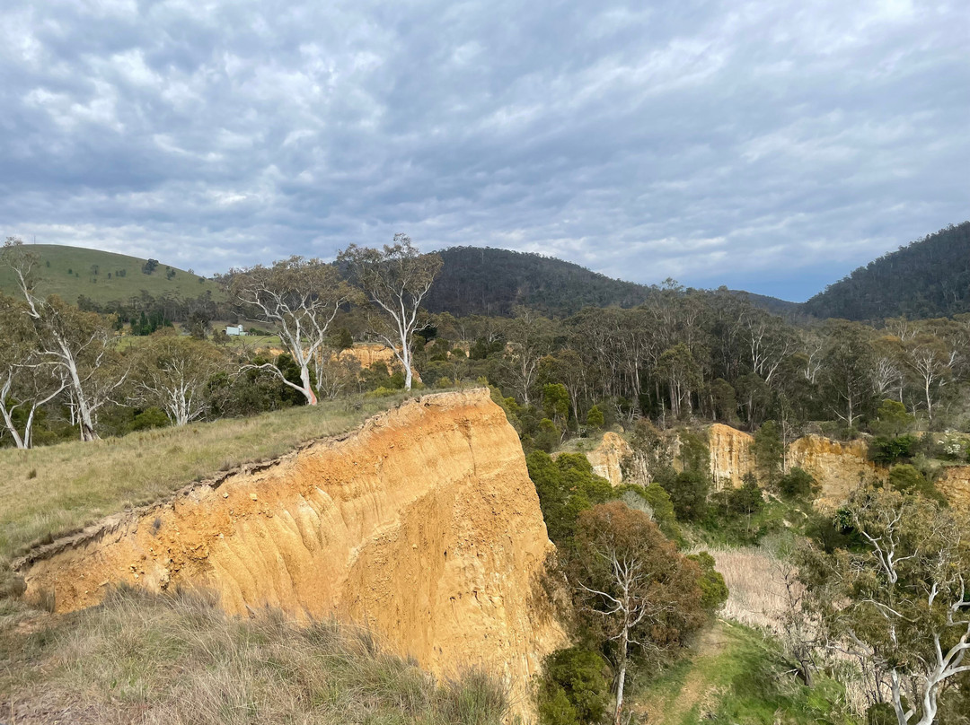 Pioneer Lookout-Omeo必去景点